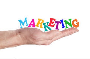 MARKETING MANAGEMENT PROJECTS